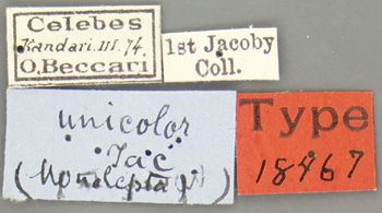 Media type: image; Entomology 18467   Aspect: labels